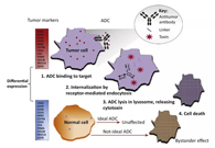 浅析：ADC药物的抗癌之路