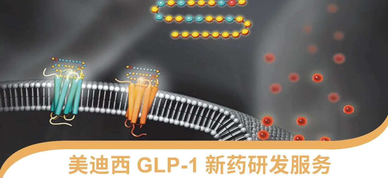 pg电子娱乐一站式 丨 “GLP-1”新药研发服务能力介绍