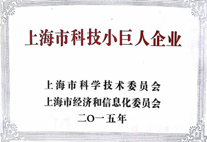 pg电子娱乐获“上海市科技小巨人企业”荣誉称号