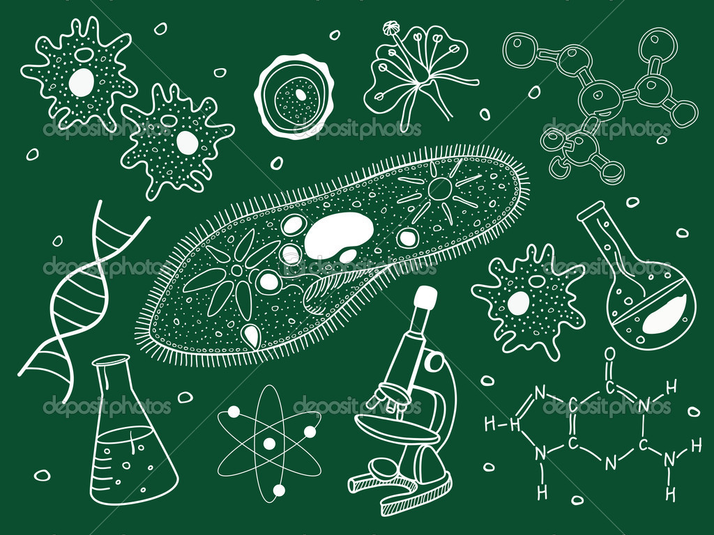 Nature：科学家找到杀死抗药细菌的新靶点