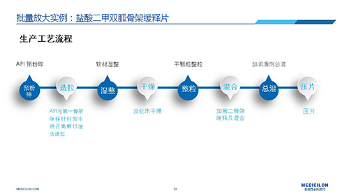 pg电子娱乐 变更参比制剂 李国栋博士演讲PPT