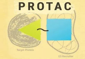 热点前沿:PROTAC初露锋芒，SD-36对抗肿瘤效果卓越