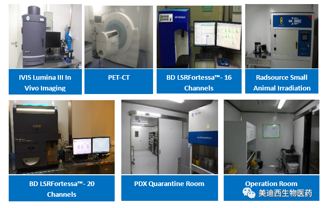 pg电子娱乐药理部拥有IVIS Lumina III, PET-CT, BD LSRFortessa-16, Flow Cytometry等仪器，提供符合申报，支持临床试验的药效评价服务。