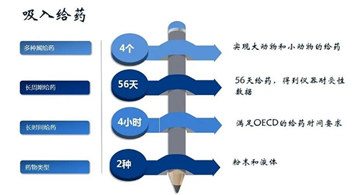 pg电子娱乐吸入给药安全性评价服务