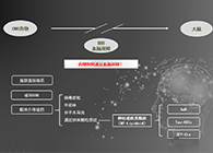 人工合成NT类脂质开放血脑屏障，为CNS药物打开新局面