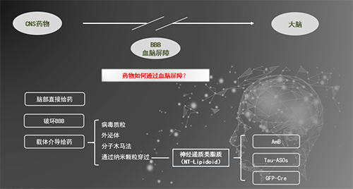 人工合成NT类脂质开放血脑屏障，为CNS药物打开新局面