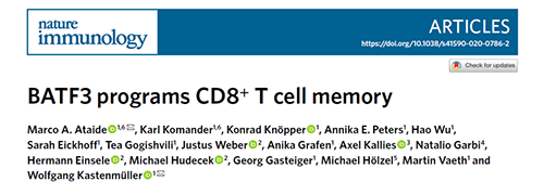 Nature：BATF3改善T细胞记忆应答，有望改善免疫疗法的疗效