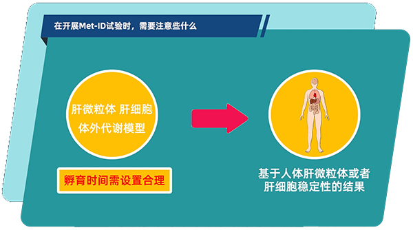 肝微粒体、肝细胞体外代谢模型中，孵育时间需设置合理.jpg