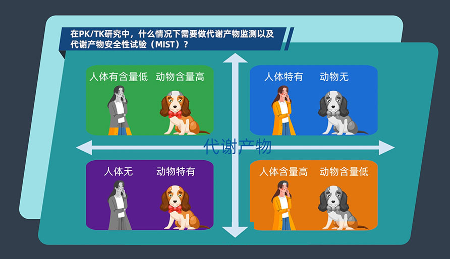 在PK-TK研究中，什么情况下需要做代谢产物监测以及代谢产物安全性试验（MIST）