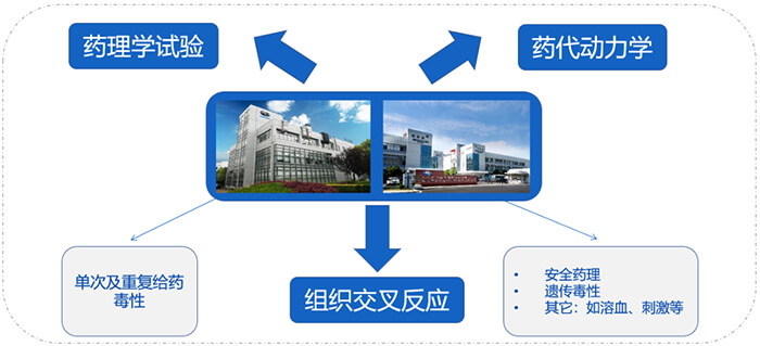 pg电子娱乐ADC药物研发服务内容.jpg