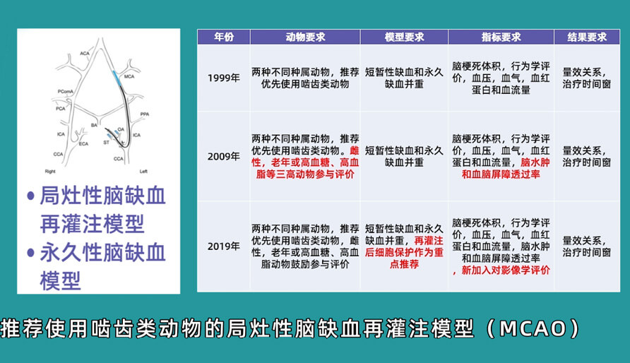 袁云云博士：啮齿类动物脑卒中疾病药效成药性评价系统（2）.jpg