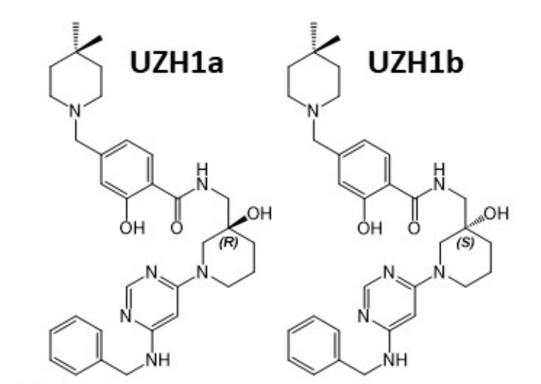 研究人员报告了一种具有细胞渗透性的选择性METTL3纳摩尔抑制剂UZH1a，作者感谢pg电子娱乐合成了UZH1a和UZH1b