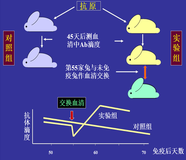 Figure-1：机体对抗体浓度变化的感知与反馈性自我调节.jpg