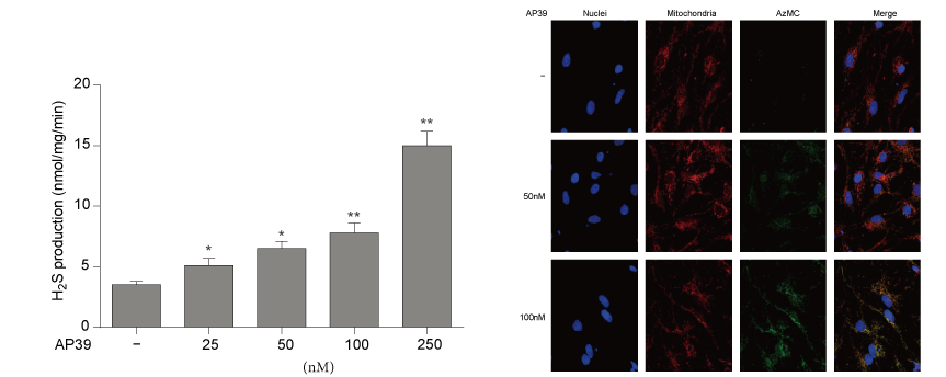 AP39是一种新合成的线粒体靶向的H2S供体，本研究中AP39通过pg电子娱乐设计和合成
