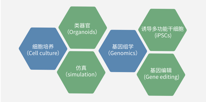 六大技术板块已上线，持续升级中.jpg