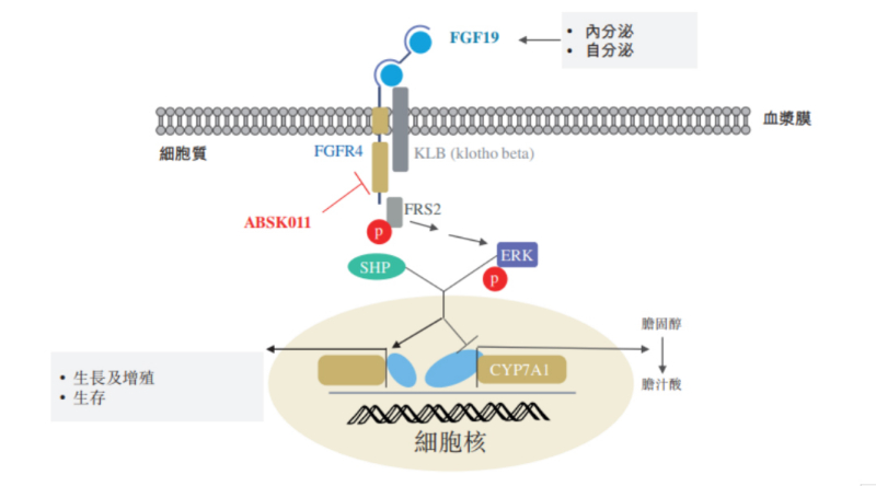 图源：公开资料.jpg